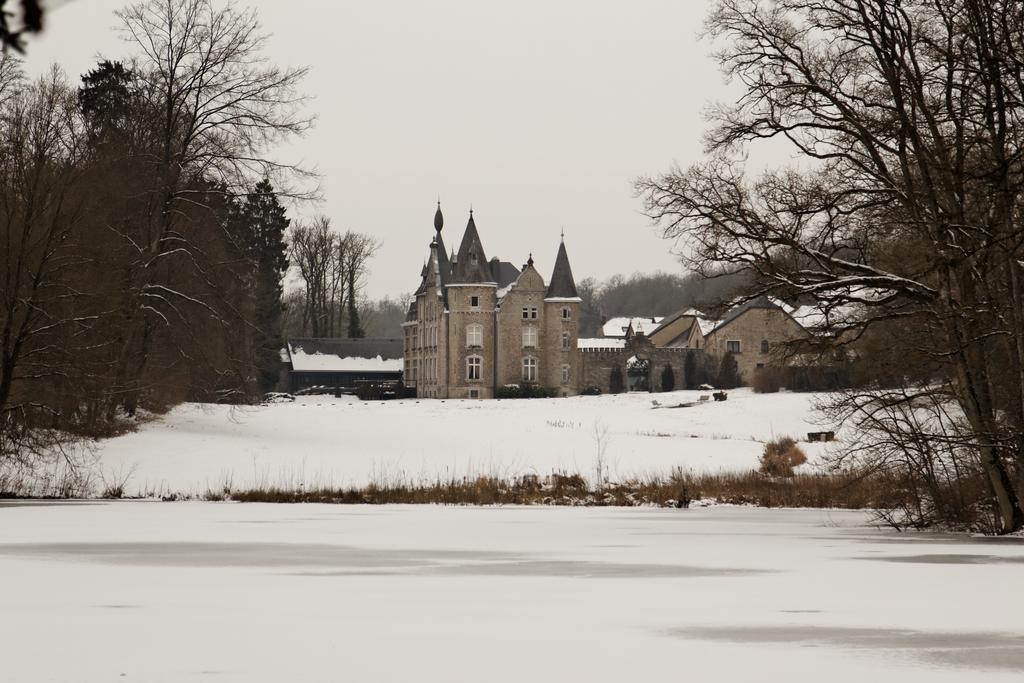 Chateau D'Hassonville Aye Exterior foto